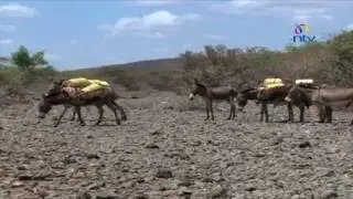 Ravages of drought: Over 54,000 in need of food aid in Samburu