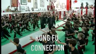A TASTE OF KUNG FU CONNECTION #ironpalm   #sifu    #kungfu     #shaolinkungfu