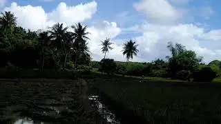 A day before super Typhoon Rolly..