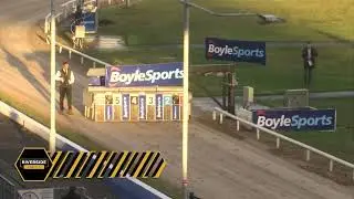 Romeo Magico - BoyleSports Irish Greyhound Derby Round 3