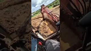 Digging Irrigation Trenches After the Rain at Sugar Valley Portugal