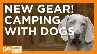 7 New Products For The Camping With Dogs : Outdoor Retailer Pet Products