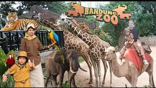 EXPLORE BANDUNG ZOO TERBARU 2025 | Kebun Binatang Bandung