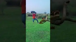 funny snake vfx video #shorts