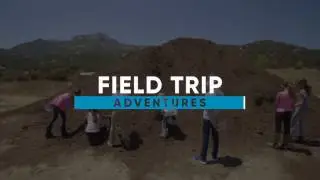 Blue Apple Ranch In-Action