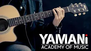 Einstein and Bill Clinton on Music Education | Yamani Academy of Music | Online, Live Music Lessons