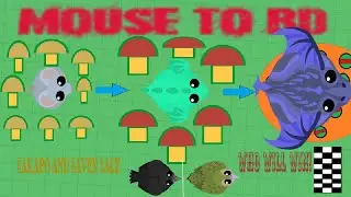 Farming to BD cuz why not +Bird Races - Kakapo vs. Raven mope.io