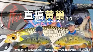 Vol.134 直搞黄巢 PEACOCKBASS FISHING 1.0 #fishing #fishingvideos #fishinglife #bfsfishing #ulfishing