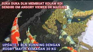 UPDATE 1 BLN RUNNING BIOLOGIS HANYA 1 CHAMBER 15 DUS RUGBY MAYIN KEMASAN 30 KG