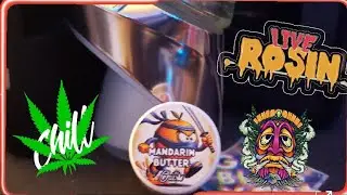 Chill | Mandarin Butter | Single Source | Live Rosin | Forum Cut Cookies X Madarin Sunset