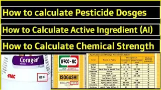 How to calculate Active Ingredients of given Chemical