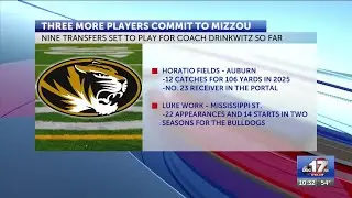 Mizzou football lands transfer DB from Auburn