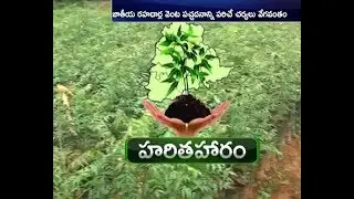 Govt Speed Up Haritha Haram Scheme | Greenery at National Highway Road Side | Across State