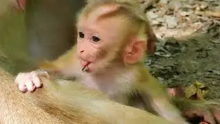 Billion hungry to isolate cute in green grass, Enrich baby legs stronger, improve before swing on