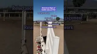 Поведенческие признаки плохой подгонки #лошадь #конныйспорт #образование #подгонкаседла #благопол...