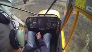 Super Legend Cub