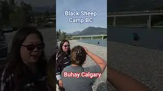 Black Sheep Bc #buhaycalgary #blacksheepcamp