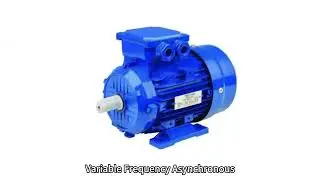 Variable Frequency Asynchronous Motor for Roots Blower, China, Supplier, Manufacturer, Factory