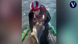 Rescatan a dos cr&iacute;as de delf&iacute;n desorientadas en la costa de Santo&ntilde;a