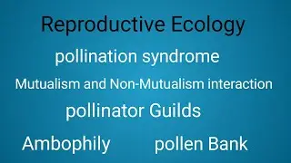 Pollinator guild | Ambophily| type of interaction | pollen Bank 