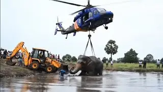 JCB Saves Elephant from Muddy Pond | Emotional Rescue Story 🐘🚁
