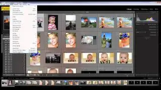 Lightroom Library Module (HD)