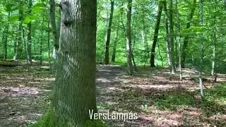 N&eacute;pi locsol&oacute;vers, H&uacute;sv&eacute;ti locsol&oacute;vers, locsol&oacute;vers, h&uacute;sv&eacute;ti zen&eacute;k, locsol&oacute; vers, h&uacute;sv&eacute;t