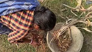  মাটি খুঁড়ে কি তোলা হলো?এইটা কি দেখেছেন?@Kalihaldi @madhukorifarm @organic @ कालीहल्दी @medicinal 