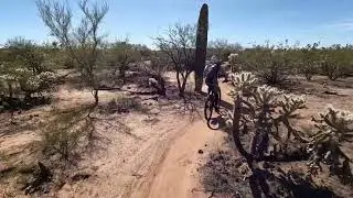 Fantasy Island Tucson, AZ 2023