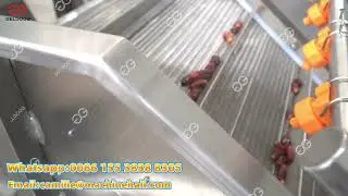 Automatic Dates Fruits Washing and Drying Machine