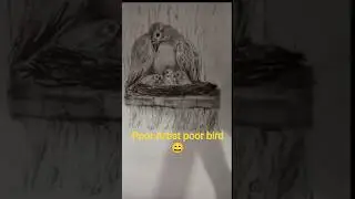 Bird drawing #art #shorts #ytshorts  #trending #shortvideo#youtubeshorts