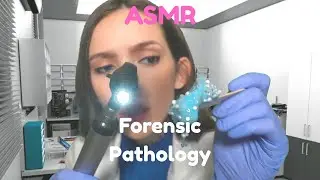 ASMR Forensice Pathology #personalattentionasmr #medicalasmr #personalattention #asmr
