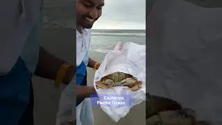 🇺🇸America-ல 🦀 நண்டு Masala Surprise Haha ஹாசினி😆