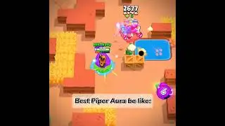 Best Piper Aura: 👑