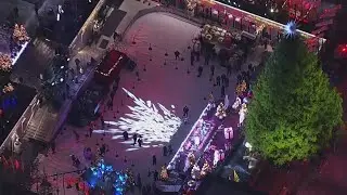 SkyFOX over the NYC area