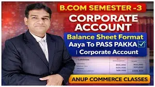 Balance Sheet format according to companies act 2013|  vertical format of balance sheet|  Accounting