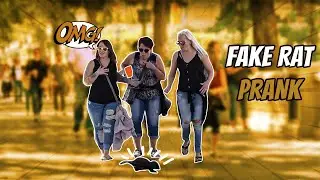 Scaring People with Fake Rat 2