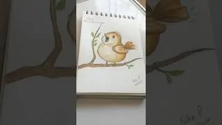 Day 6/15 &ndash; Cute Drawings 🎀 |#cutedrawing#trending #cutelittlesparrow#cutebird#viral#reel#diy#birds