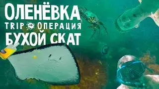 В Крым с центральной Украины! Отдых за 5000 р. Путешествие в Оленевку
