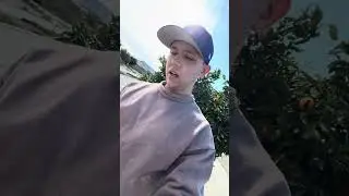 ￼ Апельсины в Orange County