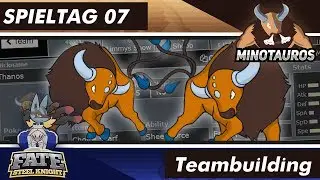 Pokemon NPBL S3 - Spieltag 07 - vs. Fate/Steel Knight  - Teambuilding