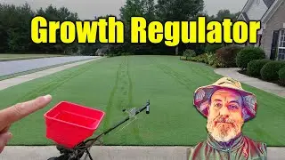Growth Regulator for Lawns - FAST Application