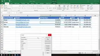 How to create an Excel data entry form -NO VBA required