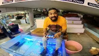Fish Spa | Fish Pedicure | Ek New Experience | Foot Massage
