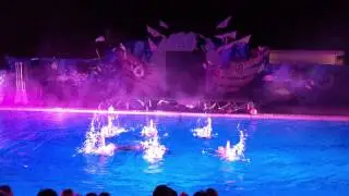 Walnut Creek Aquanuts Fall Show