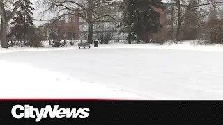 Calgary Outdoor Rinks on track for Christmas Day opening