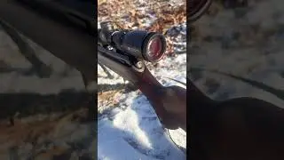 CZ 457 American .22LR with Vortex Crossfire II 2-7x32mm