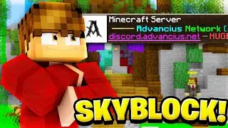 I played this BRAND NEW Skyblock server...