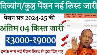 Disability Pension Yojana | Disability New Pension List 2024-25 Released | New Pension list Check