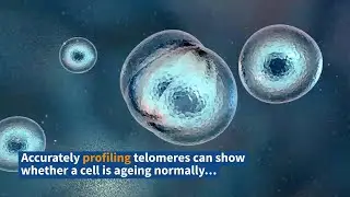 Faster cancer screening from lab-on-chip test